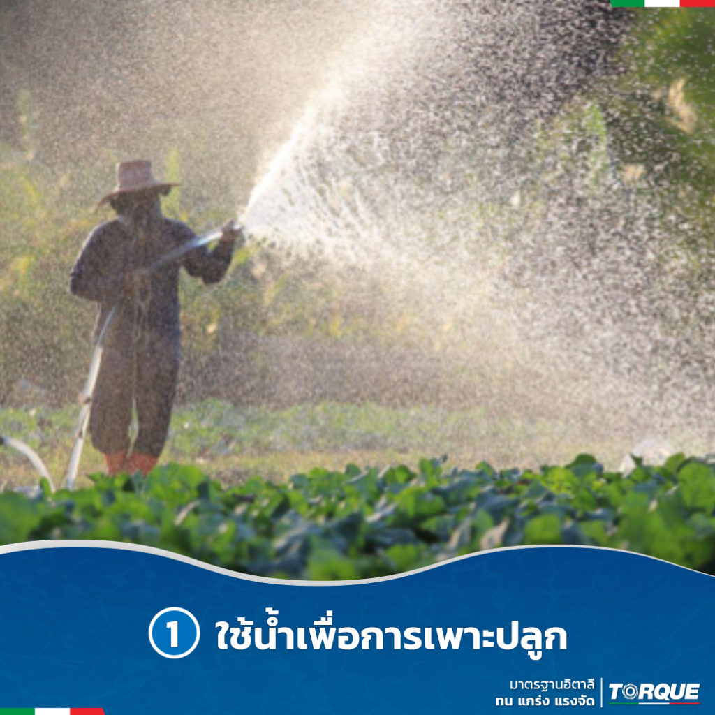 น้ำกับการทำเกษตรในประเทศไทย